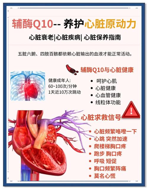 吃鸡辅助